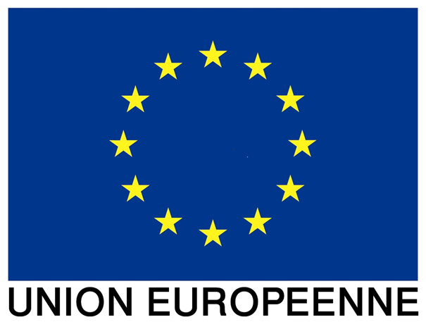 Union européenne Logo